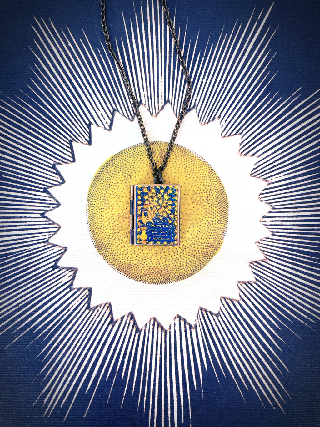 Pride and Prejudice Storybook Locket Necklace- Vintage Peacock